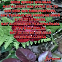 /album/fotogaleria/quien-quiera-1-jpg1/